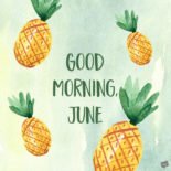 Good morning, June. Good morning, June.