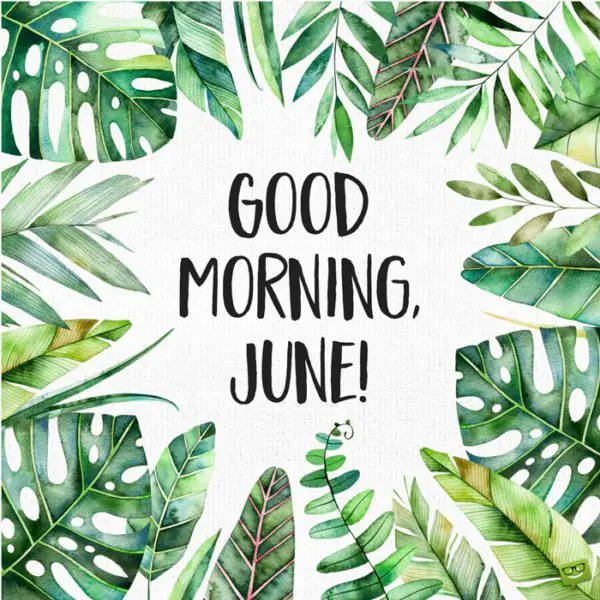 Good morning, June!