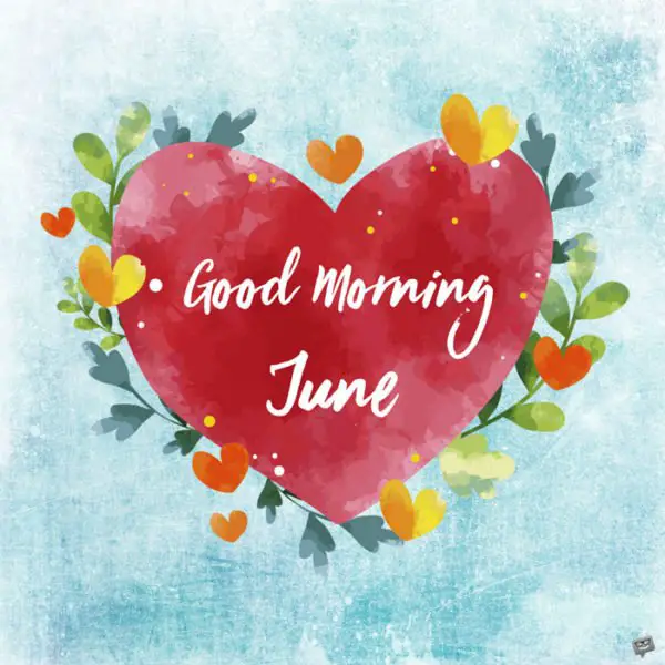 Good morning, June.