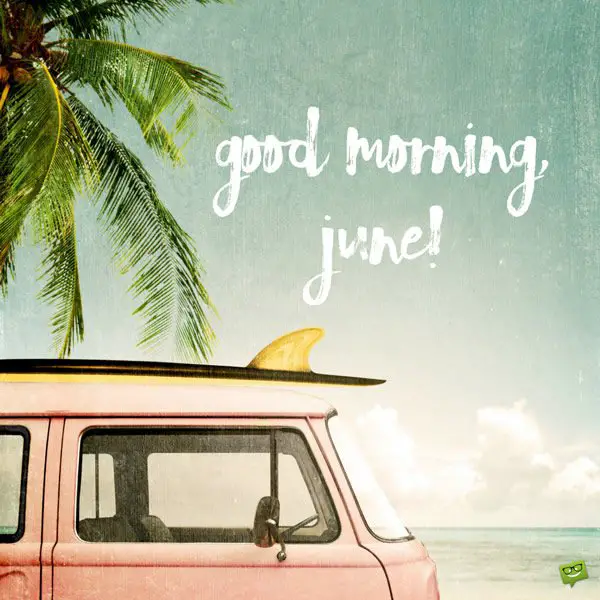 Good morning, June.
