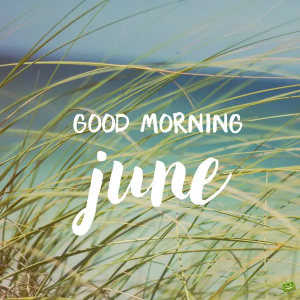 Good morning, June!