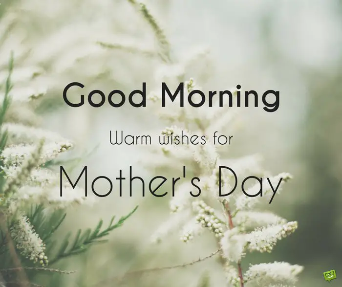 Good Morning. Warm wishes for Mother's day.