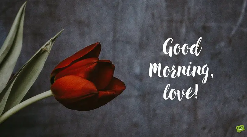 It&#8217;s a New Day, Love! | Good Morning Quotes for Her