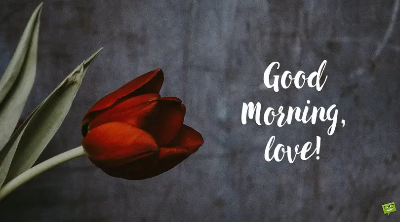 good morning love quotes good morning love quotes