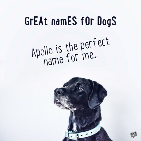 Apollo is the perfect name for me. 