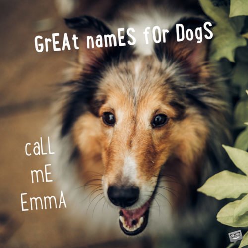 Call me Emma. | Birthday Wishes Expert Call me Emma.