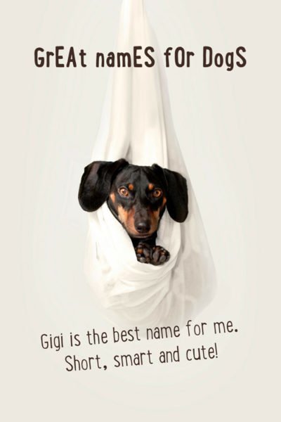 Gigi is the best name for me. Short, smart and cute! | Birthday Wishes Expert Gigi is the best name for me. Short, smart and cute!