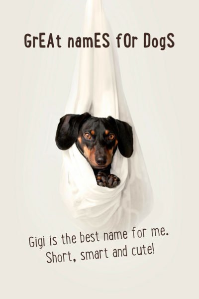 Gigi is the best name for me. Short, smart and cute!