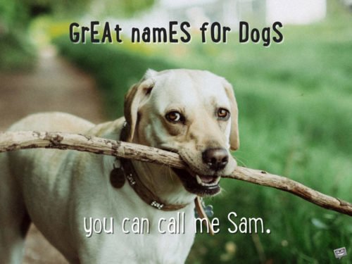 You can call me Sam. | Birthday Wishes Expert You can call me Sam.