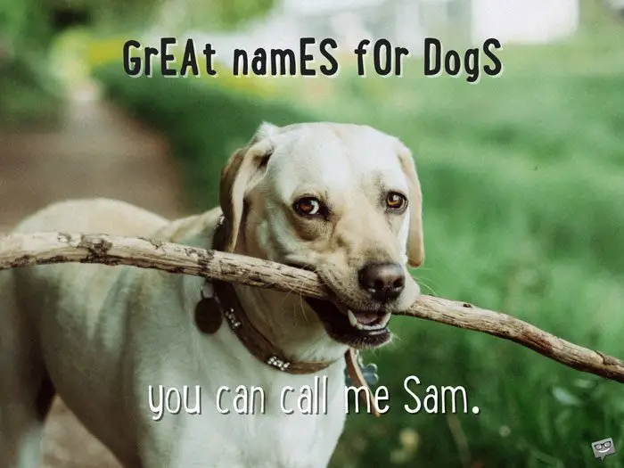 You can call me Sam.