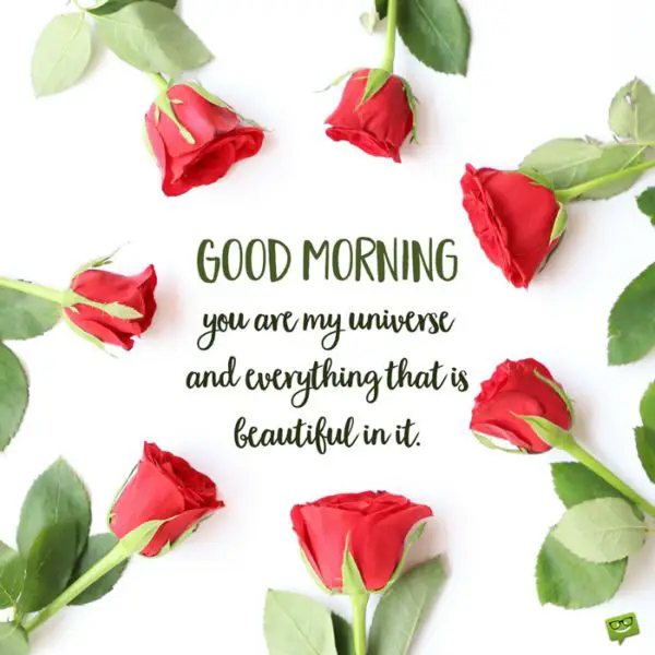 Good Morning. You are my universe and everything that is beautiful in it. 