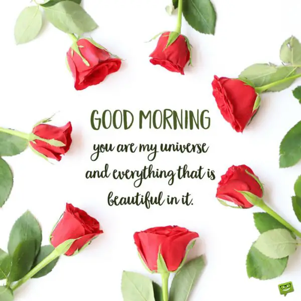 Loving good morning quote for her. On photo with red roses. | Birthday Wishes Expert Good Morning. You are my universe and everything that is beautiful in it.