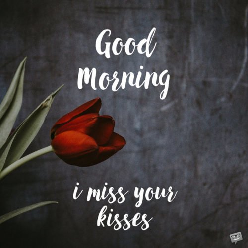 Good morning quote for her. On photo with tulip. | Birthday Wishes Expert Good Morning, I miss your kisses.