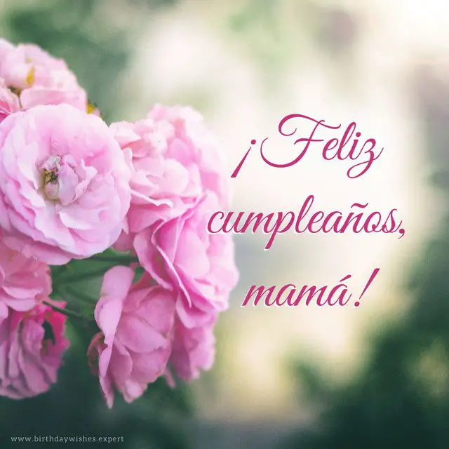 Imagenes De Feliz Cumpleanos Con Flores