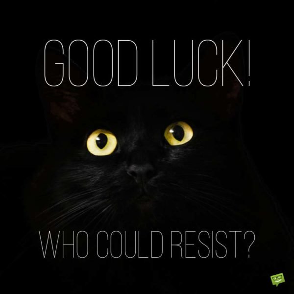 Good Luck! Who could resist?