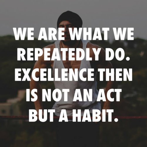 We are what we repeatedly do. Excellence then is not an act but a habit. Aristotle