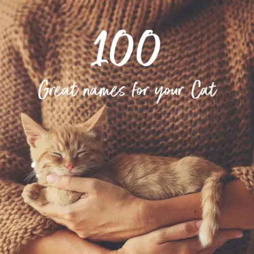 Featured image for 100 names for cats.