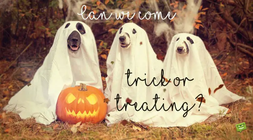 Spooky and Funny Halloween Messages for Toddlers Spooky and Funny Halloween Messages for Toddlers