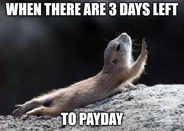 will payday 3 come out will payday 3 come out
