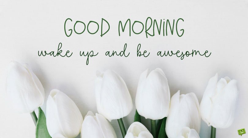 Good Morning. Wake up and be awesome!