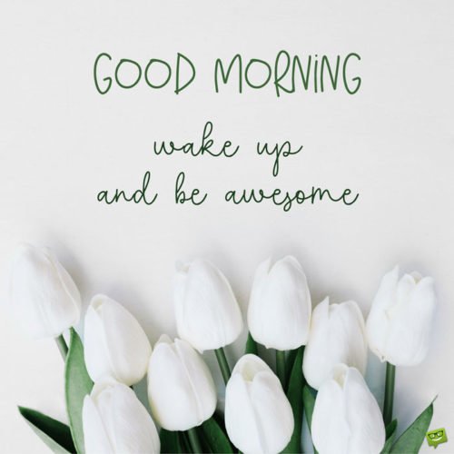 Good Morning. Wake up and be awesome!