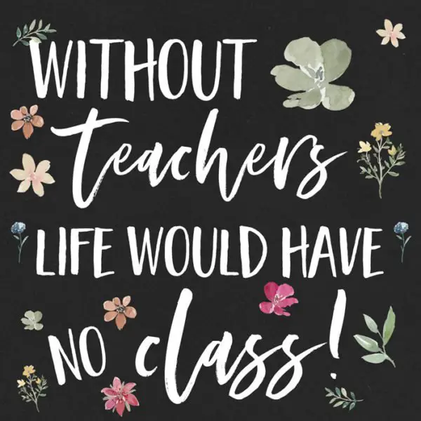Without teachers life would have no class!