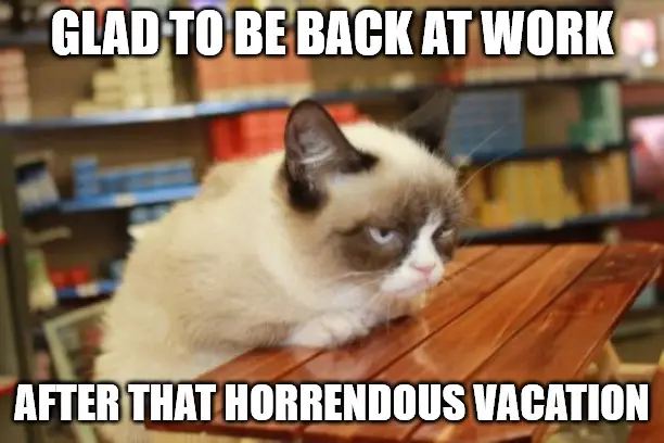 Grumpy cat on table meme for the day you get back to work.