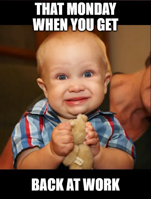 Featured image of post Funny Back To Work Captions - Whether you're looking for a good caption for a selfie or a funny phrase for.