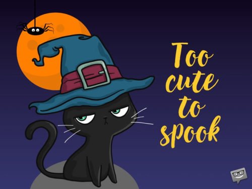 funny Halloween quote. | Birthday Wishes Expert too cute to spook.