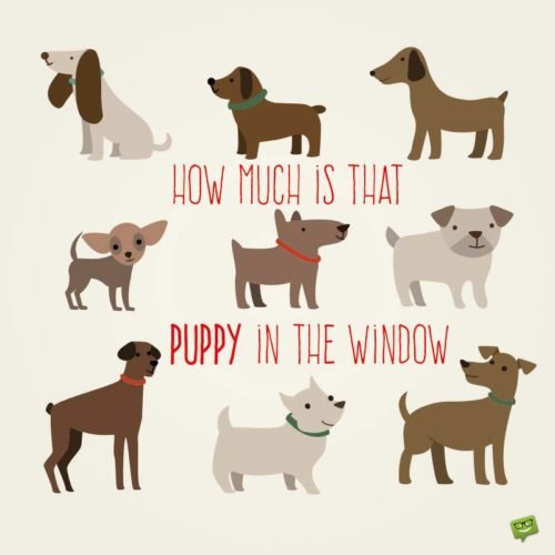 How much is that puppy in the window.