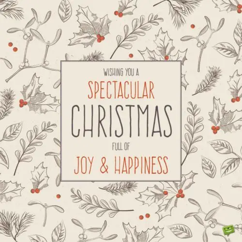 Wishing you a spectacular Christmas full of joy and happiness.