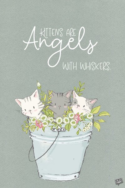 Kittens are angels with whiskers. Alexis Flora Hope