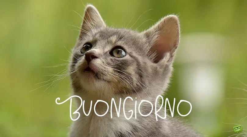 Buongiorno! | Good Morning in Italian Buongiorno! | Good Morning in Italian