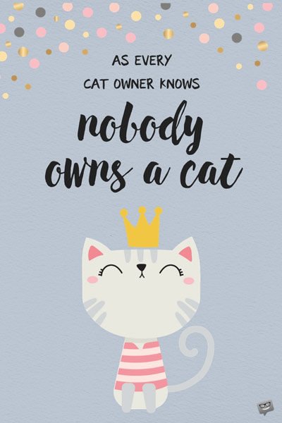 As every cat owner knows nobody owns a cat.