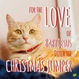 45 Merry Christmas Wishes to Be Posted on Facebook For the Love of Baby Jesus ditch the Christmas Jumper.
