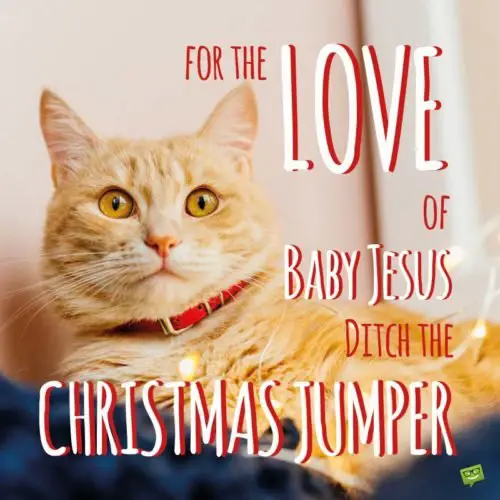 For the Love of Baby Jesus ditch the Christmas Jumper. Funny Merry Christmas Images.