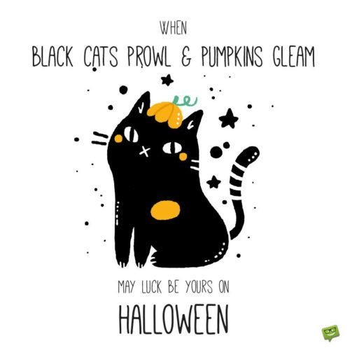 Halloween Quote on illustration of black cat. | Birthday Wishes Expert When black cats prowl & pumpkins gleam, may luck be yours on Halloween.