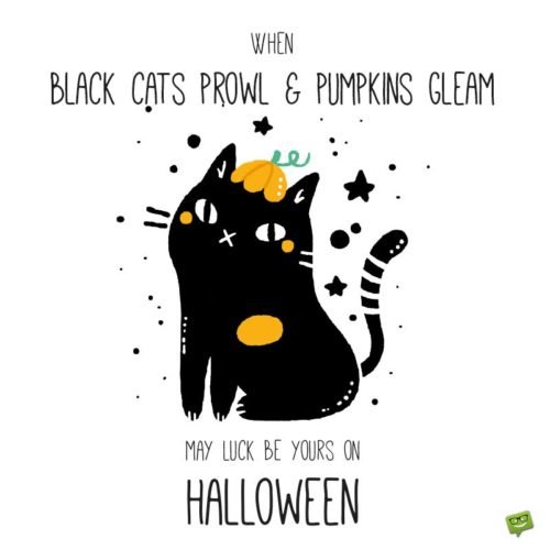 When black cats prowl & pumpkins gleam, may luck be yours on Halloween.