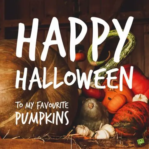 Happy Halloween to my favourite pumpkins. 