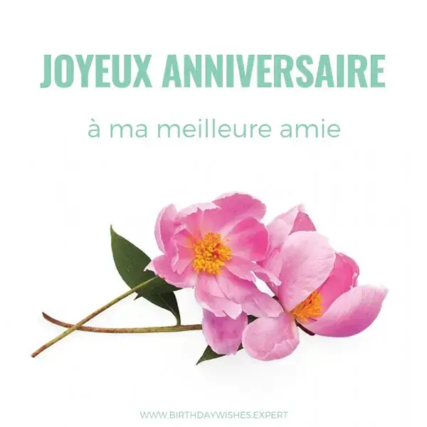 Joyeux Anniversaire Amie