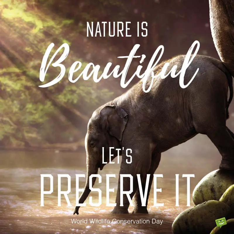 Nature is beautiful. Let's preserve it.