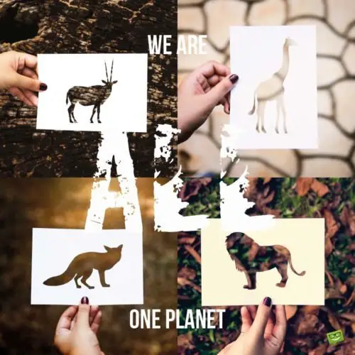 We are all one planet.