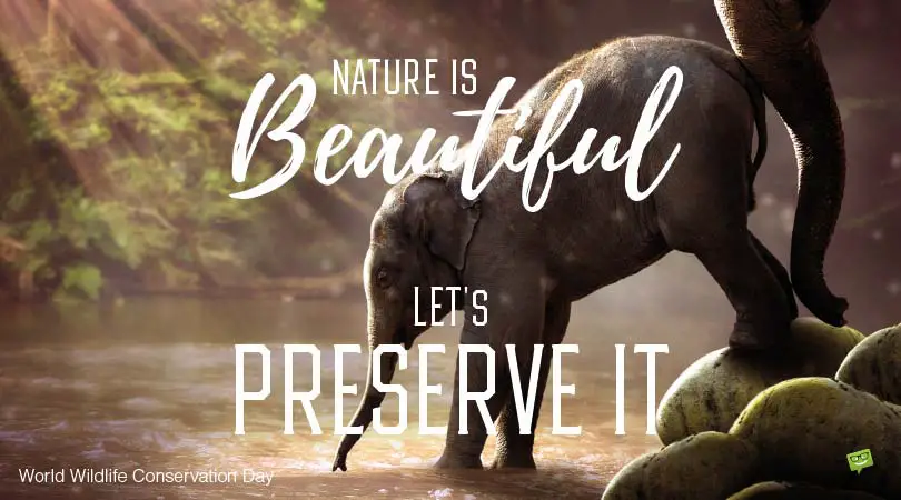 World Wildlife Conservation Day | Fun Facts and How it All Started