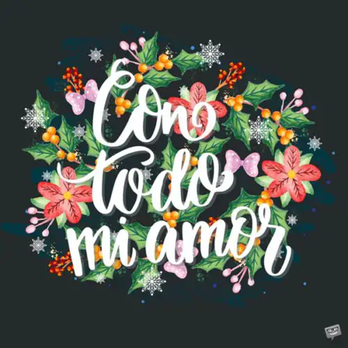 Imagen con flores de colores, adornos navideños y hojas de acebo en fondo negro para desear Feliz Navidad. Con todo mi amor.