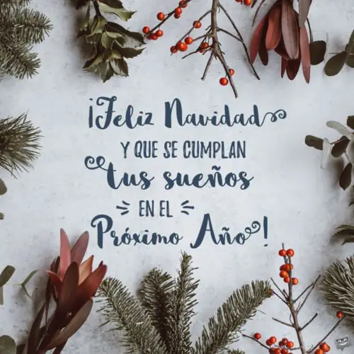 Imagen con motivos florales y hojas fondo de nieve para desear Feliz Navidad y un buen proximo año. Feliz Navidad y que se cumplan tus Sueños en el proximo año.