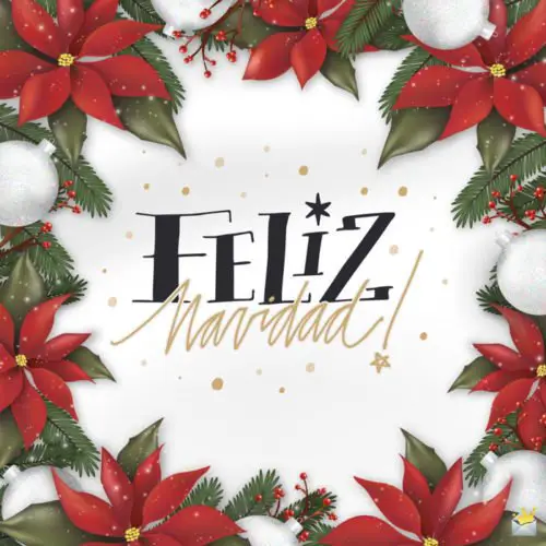 ¡Feliz Navidad!