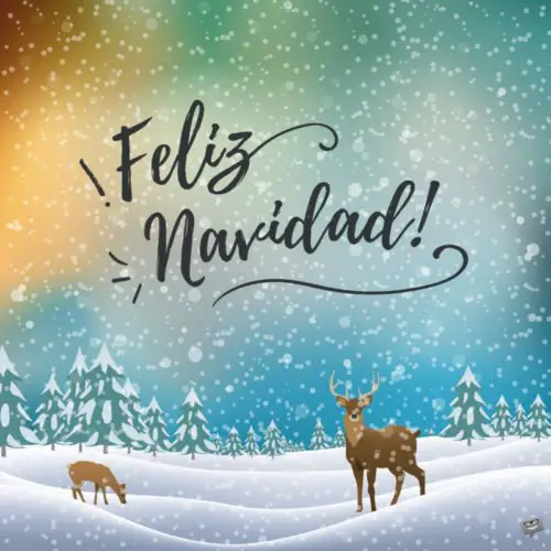 Imagen con ciervos paisaje nevado para desear Feliz Navidad. Feliz Navidad.