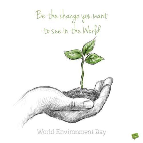 World Environment Day Quote on drawing with a hand holding a small plant. | Birthday Wishes Expert Be the change you want to see in the World. World Environment Day.