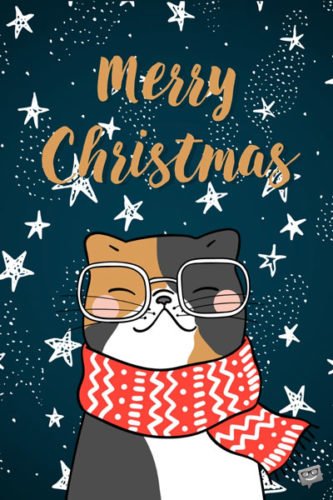 Christmas greetings for mom and dad on image with confident cat wearing a scarf and glasses. | Birthday Wishes Expert Merry Christmas.