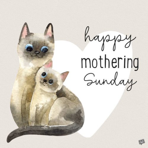 Mothering Sunday image with kittens. | Birthday Wishes Expert Happy Mothering Sunday!
